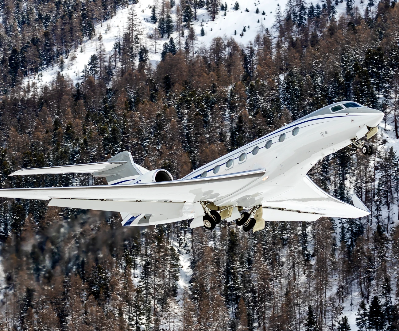 Diverse Fleet, Global Reach